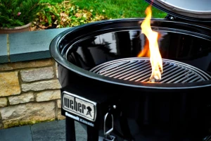 Summit_Kamado_E6_Charcoal_Grate_1_rgb-801x534-864cc19.jpg