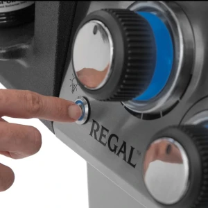 BK_Regal_ControlLights_SwitchSS_02.jpg