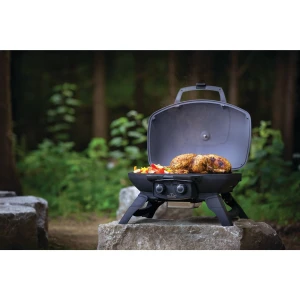 grillstore TQ285- (2).jpg