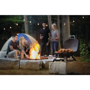 grillstore TQ285- (3).jpg