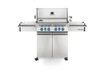 PRESTIGE PRO™ 500 RSIB - GAZ ZIEMNY