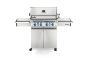 PRESTIGE PRO™ 500 RSIB - GAZ ZIEMNY