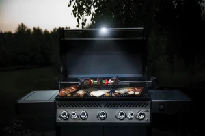 70029-Grill-Light-In-use.png