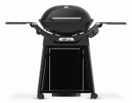 WEBER Q 3200N