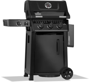 Freestyle_F365DSBPK-1-Prod-Ang_Rght_Shlf_Dwn-1000x909-a006145.png