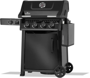 Freestyle_F425DSBPK-1-Prod-Ang_Lft_Shlf_Dwn-1000x870-a006145.png