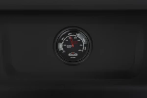 Freestyle_FP425DSIBPK-1-PHM-Detail-Str_TempGauge-1000x667-a006145.png