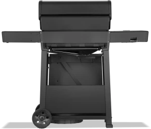 Freestyle_FP425DSIBPK-1-PHM-Prod-Str_Back-1000x861-a006145.png