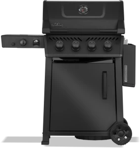 Freestyle_FP425DSIBPK-1-PHM-Prod-Str_Shlf_Dwn-949x1000-a006145.png