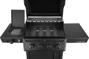 Freestyle_FP425DSIBPK-1-PHM-Prod-Str_TopDown_Lid_Opn-1000x670-a006145.png