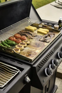 RP30SIBFTPK-PHM_WithFood1-668x1000-a006145.png
