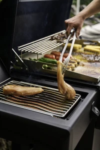 RP30SIBFTPK-PHM_WithFood2-668x1000-a006145.png