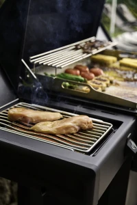 RP30SIBFTPK-PHM_WithFood3-668x1000-a006145.png