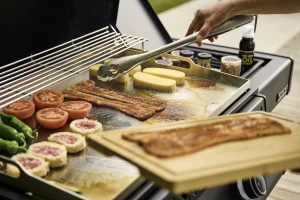 RP30SIBFTPK-PHM_WithFood10-1000x668-a006145.png