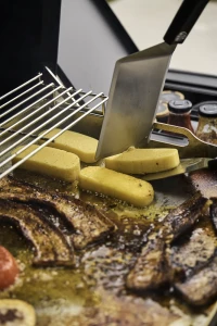 RP30SIBFTPK-PHM_WithFood12-668x1000-a006145.png